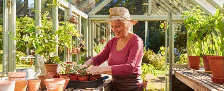 senior-potting-in-greenhouse